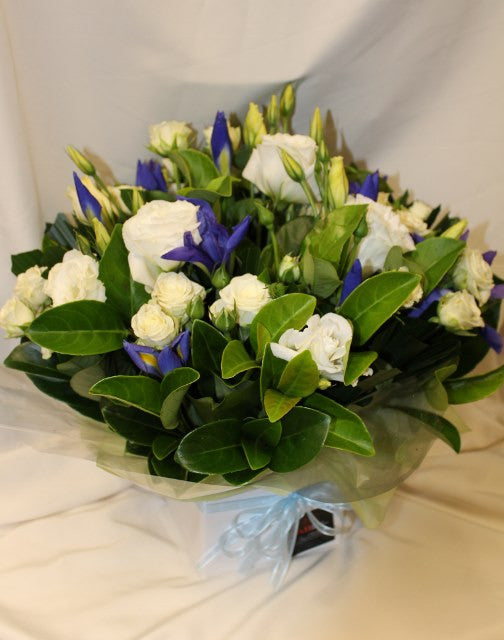 Blue and White Box