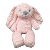 Plush Bunny Teddy