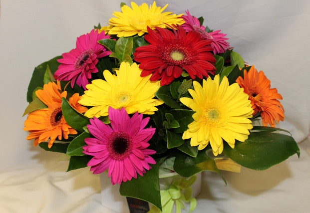 Gerbera Box